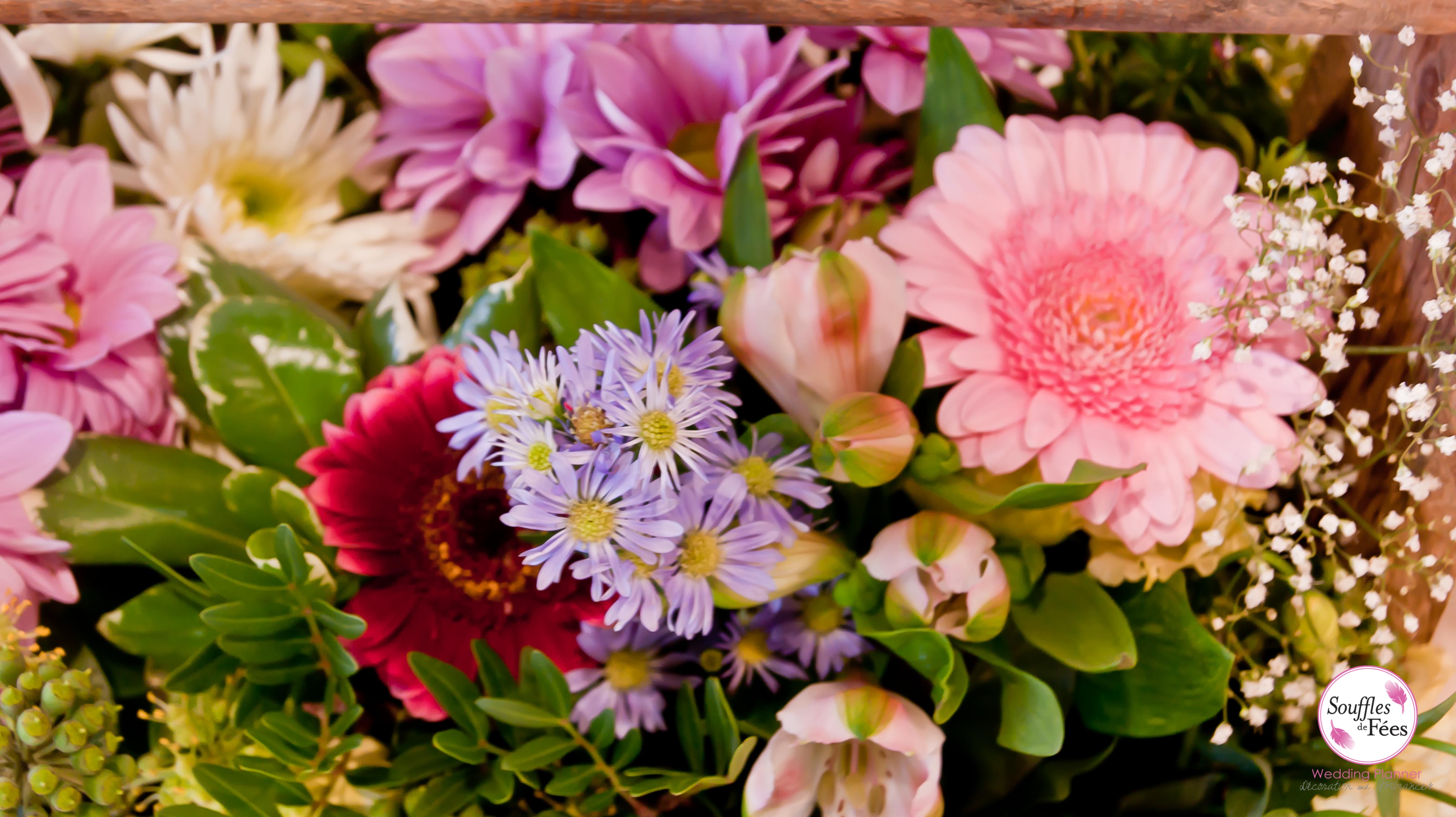 MilleMercisMariage - Annuaires de Mariage