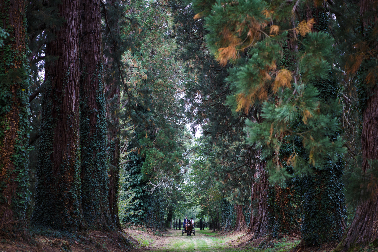 MilleMercisMariage - Annuaires de Mariage