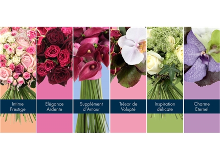 Prestataire - Fleurs