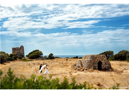 Prestataire - Wedding Planner