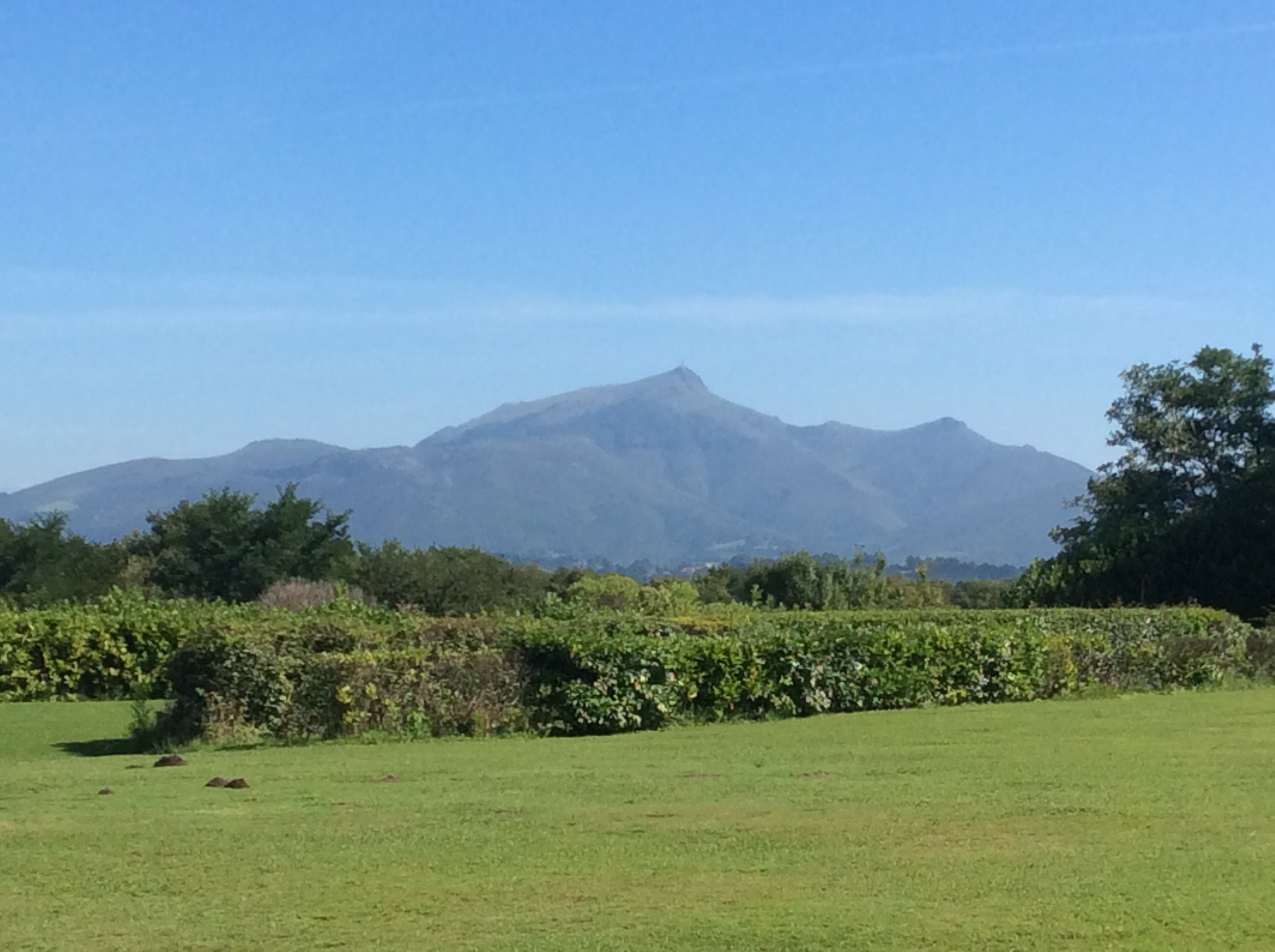 MilleMercisMariage - Annuaires de Mariage