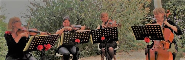 MilleMercisMariage - Annuaires de Mariage