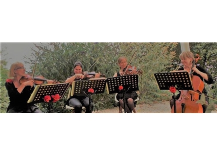 Prestataire - Animations mariage