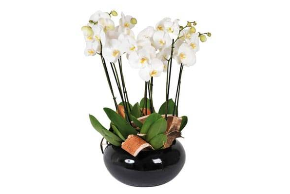 MilleMercisMariage - Annuaires de Mariage