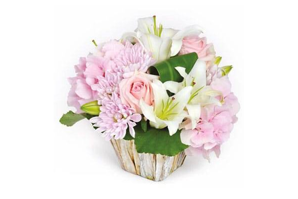 MilleMercisMariage - Annuaires de Mariage