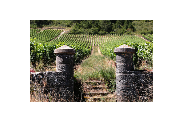 MilleMercisMariage - Annuaires de Mariage